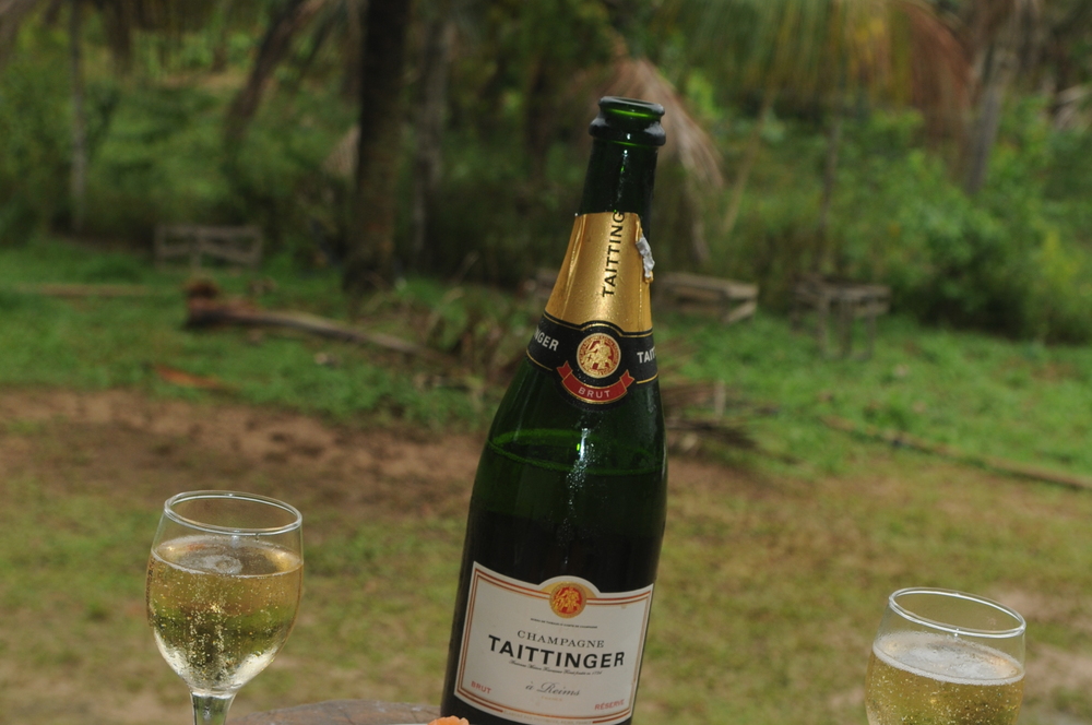 Sitio PrimaVera 242028