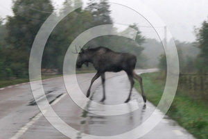 There is no Santa Claus