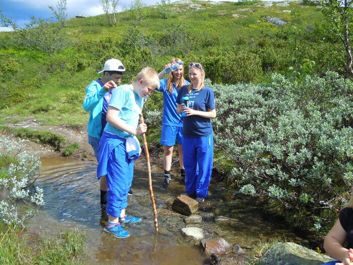 Leirskole 2013 Brennabu 113060