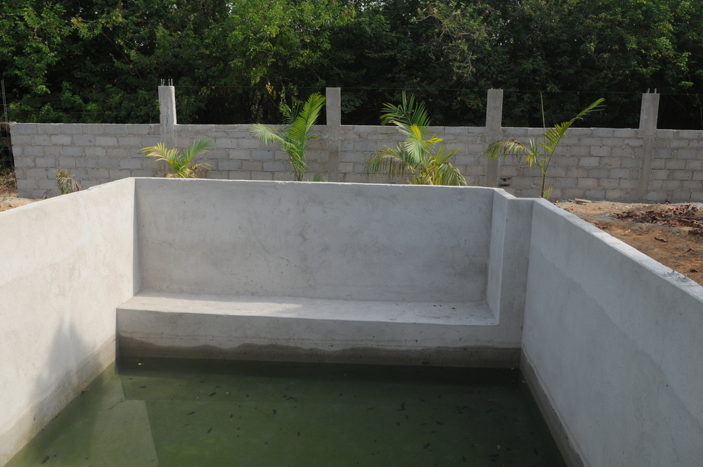 Sitio PrimaVera 242020