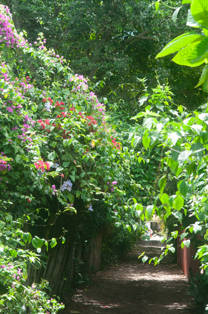 Aluga Casa  do Thor em Caraiva 241997