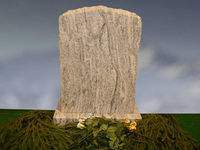 246 Viscont White polert forside og bakside, kanter råhugget