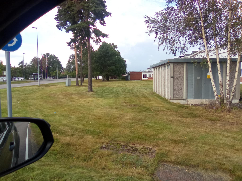 Klippe gress. ETTER 241961