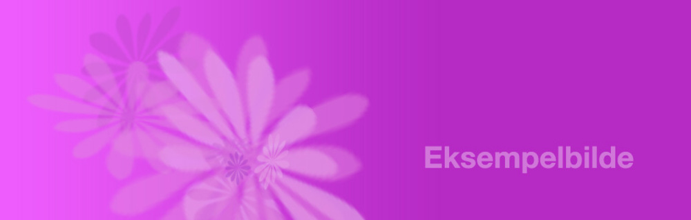 Bildekarusell 123066