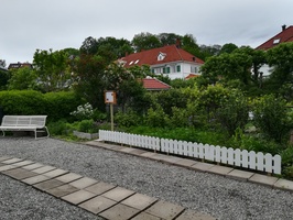 5. juni: Hagen begynner å ta form.