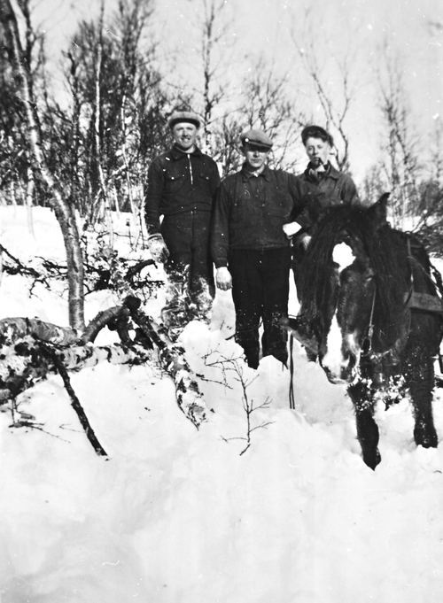 REF-0223 Nerskogen 1940-åra. Hest Vedhogging i Sørøyåsen. F.v. Petter Voll, Johan Fjellstad, John Fjellstad