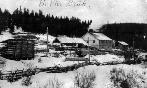 Arbeidsliv og næring