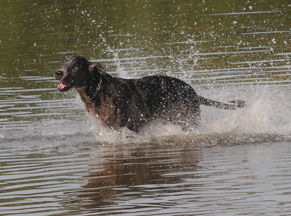 Aluga Casa  do Thor em Caraiva 173796