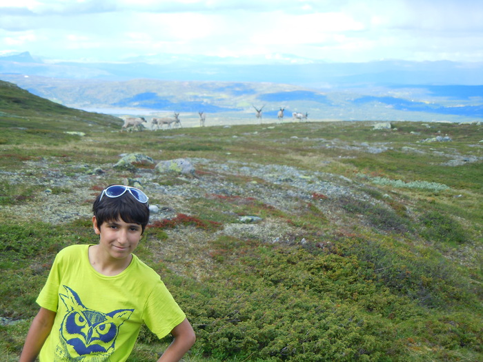 Leirskole 2013 Brennabu 113063