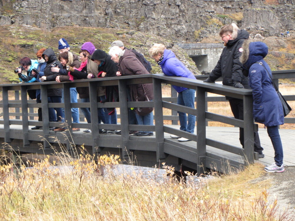 Store blikk mot storørreten.
Foto Nina Samuelsen
