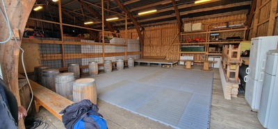 Bryggedans 23.06.2026 246233