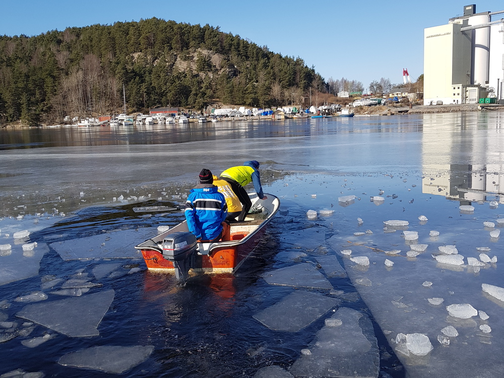 knusing av is i April  214187