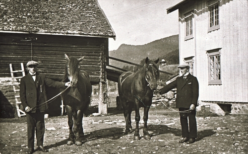 REF-0395 Hårstad/ Voll ca 1930.
Arnt Hårstad og Ola Hårstad med kvar sin hest i tunet på Utstuggu Hårstad. Gammelhusa før brannen i 1932.
