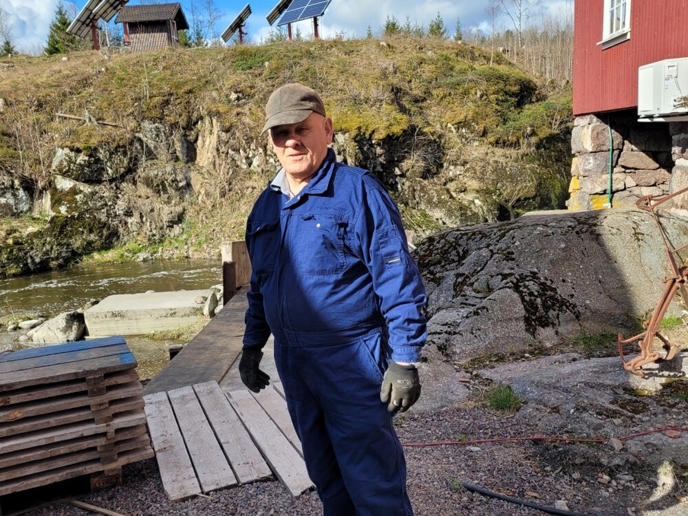 Album (dugnad) 238609