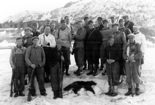 REF-0792 Nørgard Voll 1949. Jaktlaget har felt jerven. 1.rfv:Anders I. Voll, Ingebrikt I. Voll, Gunvald Sanden ? ,Per A. Hårstad, John Lund. 2.r Ingolf Lund, John Sæther, Erik Hoel, Erik M. Uvsløkk. 3.r John Fjellstad, Knut Voll, Martin Skjerve, Leif Uv, Jens Hoel, Olav Rogogjerd, Per Kvam. 3.r Olav Holiløkk, Mikkel Fjellstad, John L. Hoel, Anders Lund, Ola E. Hoel, Martin Grendal.