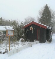 11. november 2019: Nå har insektshagen gått i dvale for sesongen. Det skal bli spennende å se hva som titter fram av vekster til neste år :-)