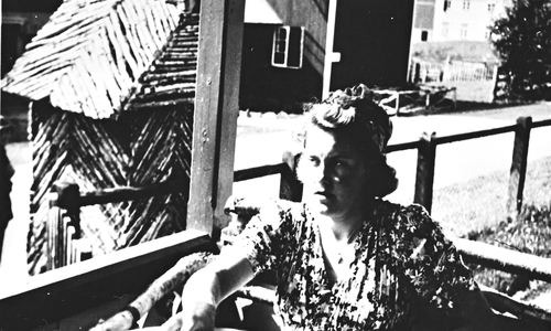 Okkupasjonstida - Forsvar