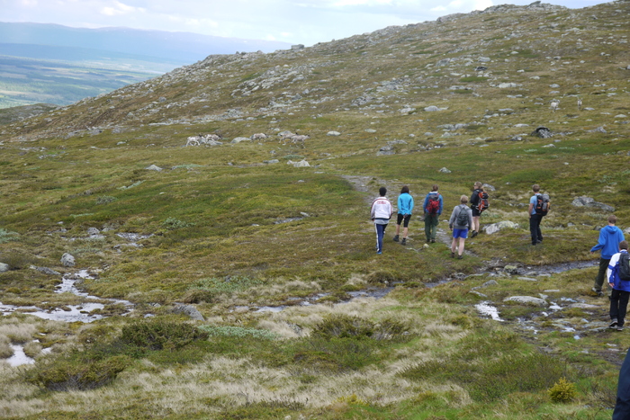 Leirskole 2013 Brennabu 113089