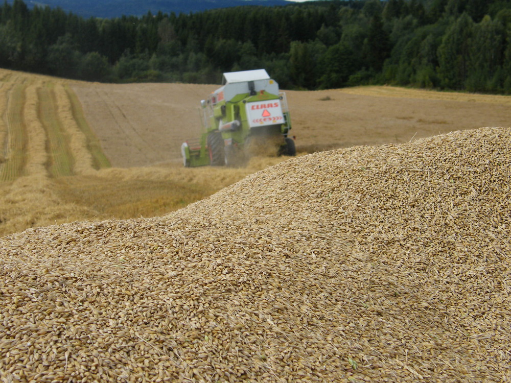 Framsidekarusell 99879