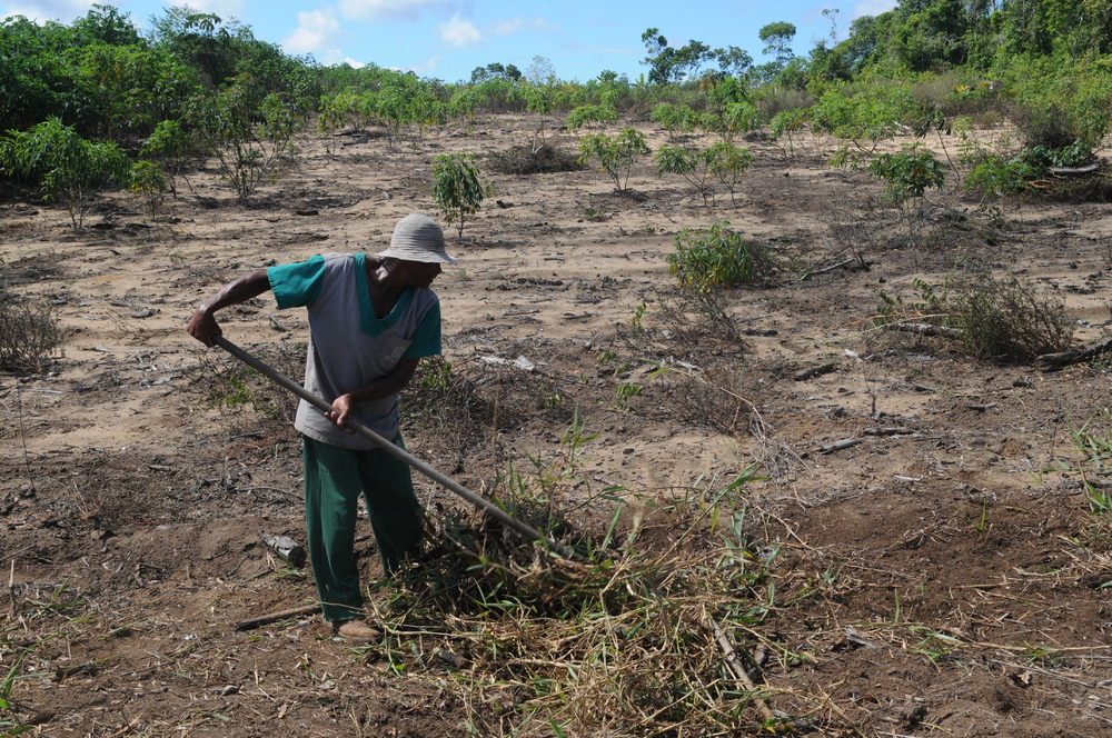 Sitio PrimaVera 242072