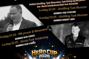 Annonser fra avdelinger