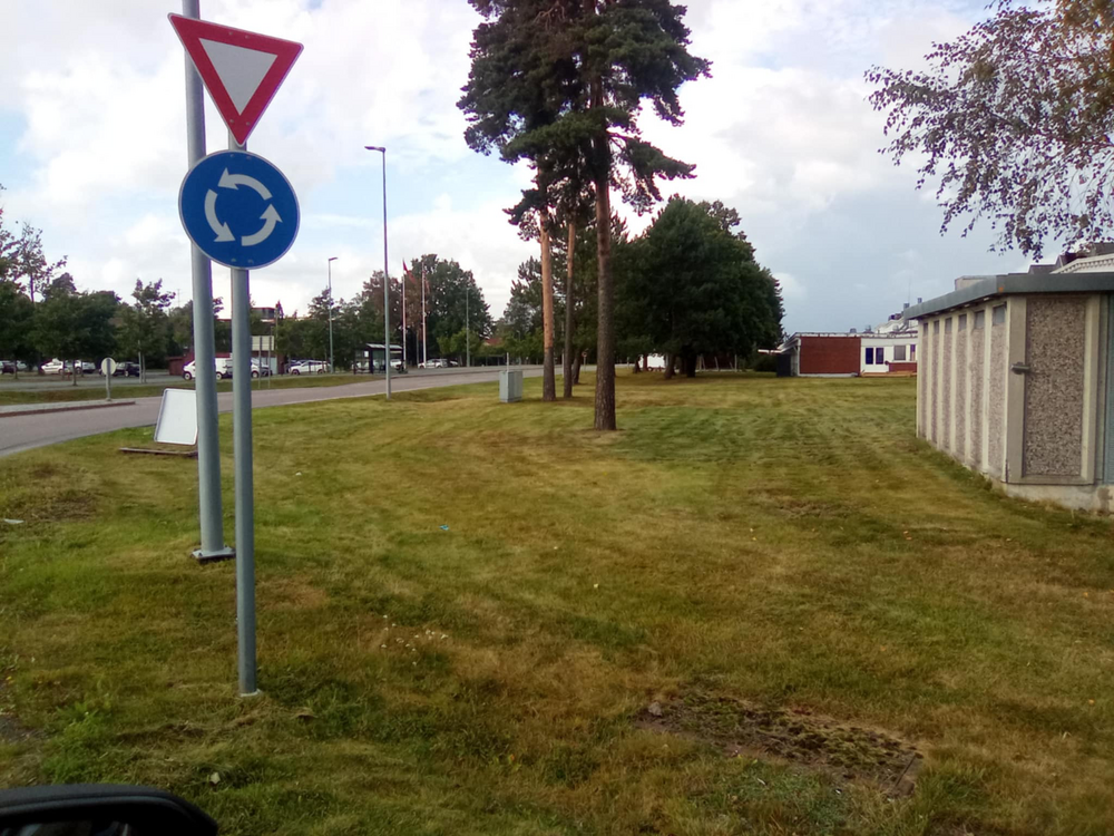 Klippe gress. ETTER 241965