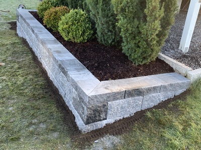 Lav Asak Vertica  mur med Barlind og kule thuja i bed