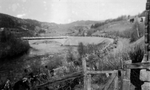 Okkupasjonstida - Forsvar