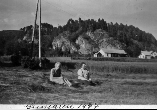 RHF-1022
Onnaarbeid og hesjing i Teihåggån ved Sandbrekka i Rennebu i 1947.