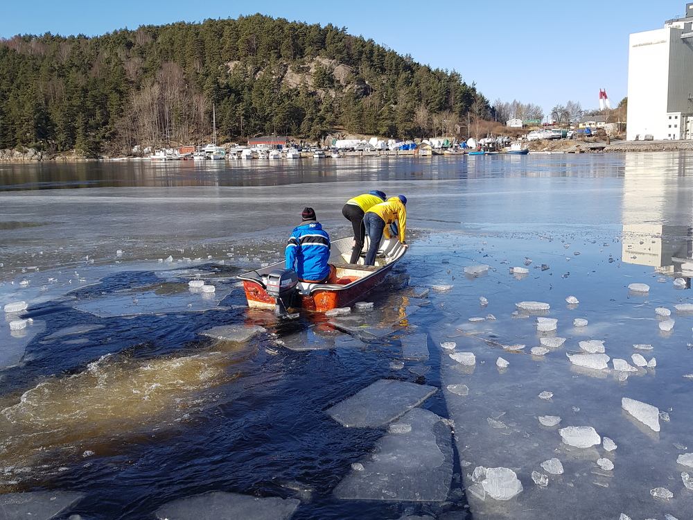 knusing av is i April  214188