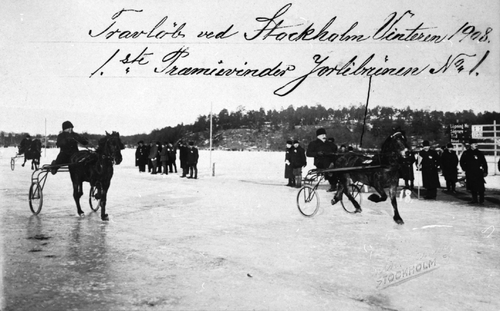 REF-0045  Stockholm 1908

Travløp. 1.premievinner Jorlibrunen.