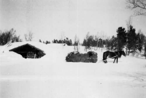 REF-800 ca 1950. 'Vinterlass'