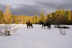 Opplevelser med hest