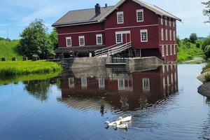 Album (dyrene i Mølla)