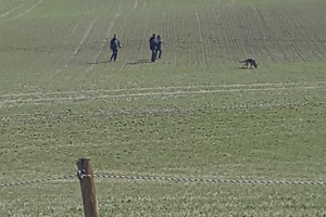 SPH prøven 22-23/4 2017