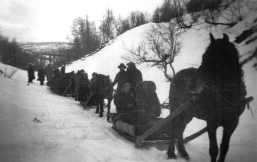 REF-0776 Ilbogen 1939. Henting av høy fra sætra.