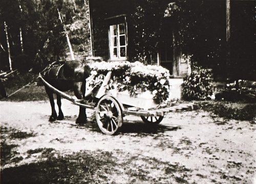 REF-0391 Herrem/Voll 1943.
Begravelse. Jon Olsen Krovolds båre.