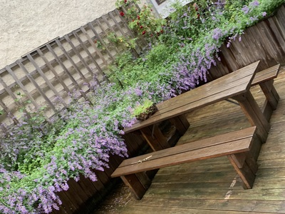 Ute benk bed og espalje