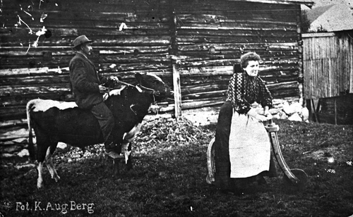 REF-0072 Bruholt, Grindal, 1912

'På ridetøyet skal storfolk kjennes'.
På oksen sit Endre Grendalsløkk og på den heimelaga tresykkelen sit onnatausa Berit Knarvik.