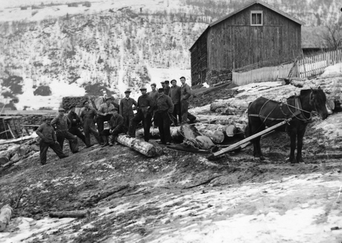 REF-0303 Hårstad Voll Rennebu 1948 - Tømmerdrift/sagbruk nedanfor Nørigard Hårstad.  t.h. låven på
Nørigard. I bakgrunnen Liabakkane. Bak tømnerlunnen står f.v.: 0laf Krovold, Anders 0. Voll (Åsa),JJoar Krovold,0la Ho1i1økk, ?,
Martin A. Hårstad, Arnt Lånke, Martin M. Hårstad, Einar Aas (Luåkra), Trygve Lånke, ?, 0la Lien, Håkon Hoff og Jon Krovold. (Jfr REF-0304)