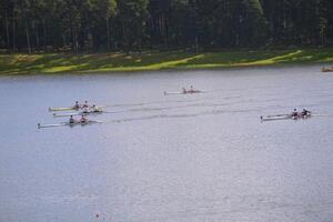 Tunevannsregattaen 2013