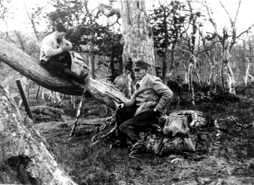 REF-0766 Hårstadhaugene i Eldålien, Nerskogen 1958.
Jegerne Ingebrikt O. Bakk og Ola Jonsen Lien tar en pust i bakken ved storfurua.