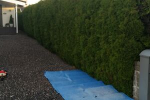 Prosjekt Beskjæring