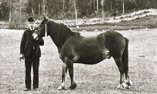 Arbeidsliv og næring