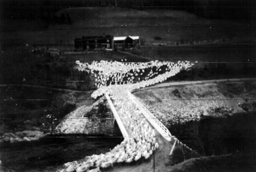 REF-0801 1943. Reinflokk drives over  Mærk Bru.