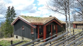 Bilde tatt juli 2011. 